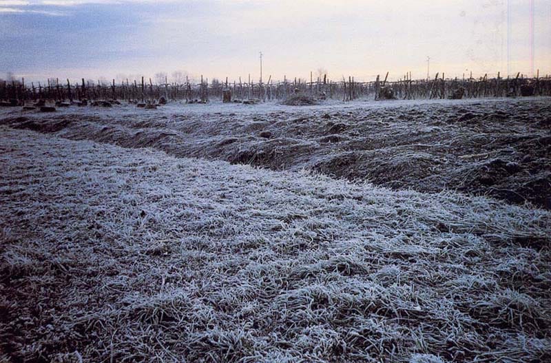 Risveglio gelato a Monterosi: temperature sotto lo zero nella notte