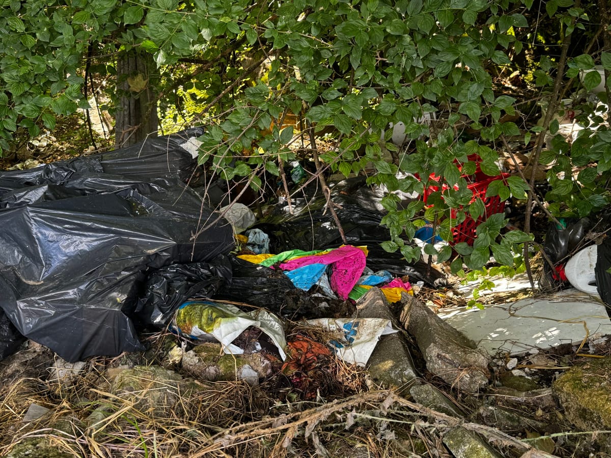 Rifiuti abbandonati: la Giunta propone la videosorveglianza per combattere il fenomeno