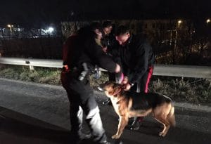 Monterosi: Stop Plastica e il Partito Animalista in piazza per la raccolta firme per il no ai botti di Capodanno