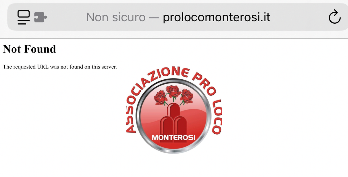 Pro Loco: il successo del Carnevale, la Festa dei Borghi e la mancanza di trasparenza del sito web