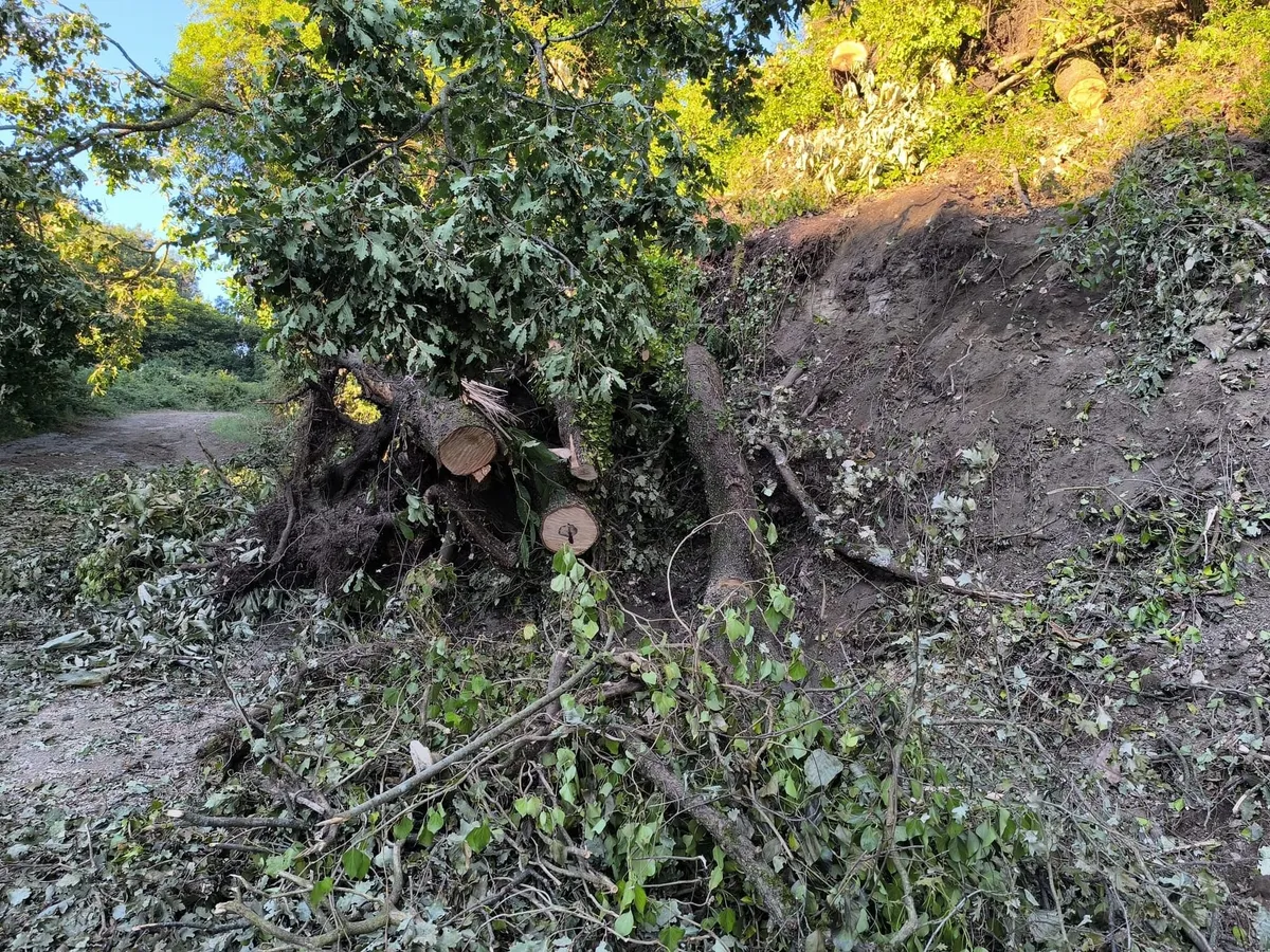 Riaperto il tratto di via Fonte Termini ostruito dagli alberi caduti