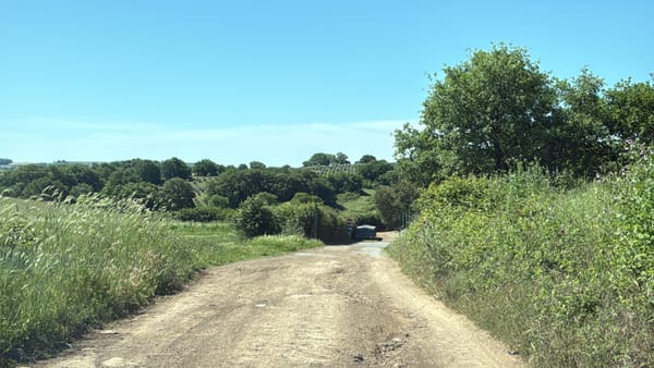 Lettera aperta sulla strada dissestata che porta all’isola ecologica: “Ogni volta che faccio la cosa giusta, rischio di rompere l’auto”