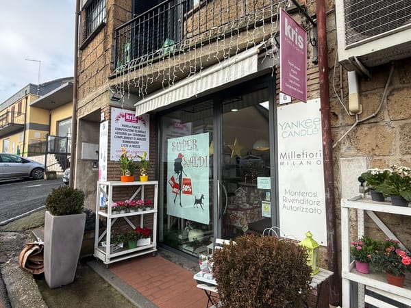 Furto in pieno giorno a Monterosi: commerciante derubata nel suo negozio