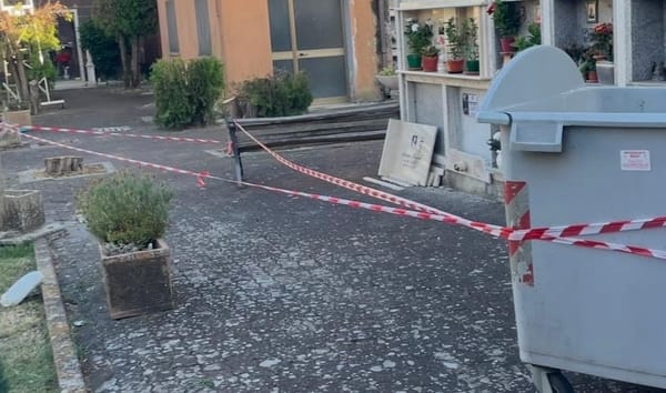 Cipressi tagliati, cattivi odori e liquidi sospetti. E il “like” di un consigliere: cosa sta succedendo al cimitero?