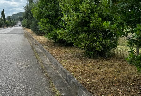 Terre dei consoli, il Comune al lavoro ma c’è il rischio di interruzione elettrica