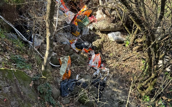 Via Fonte Termini: ancora degrado, i rifiuti finiscono nel fosso
