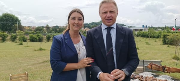 Antenna 5G e il caso della meloniana Boccolini