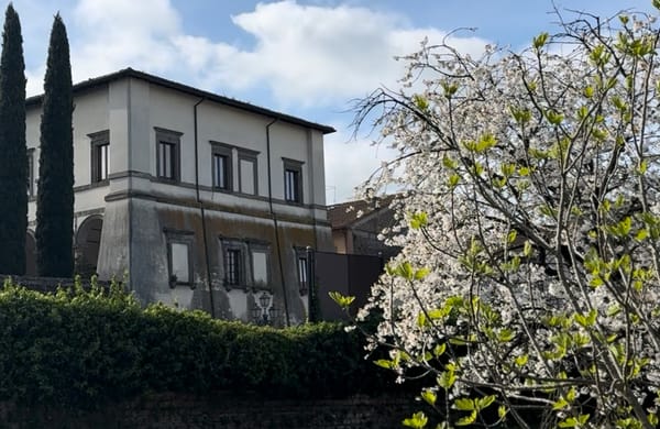 Borse lavoro e campi da padel: cosa chiede l’avvocato nell’esposto. Abbiamo analizzato il documento