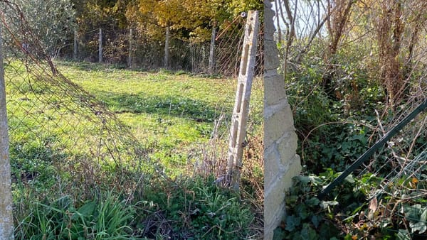 Reti tagliate in una proprietà privata: nuovo allarme sicurezza a Monterosi