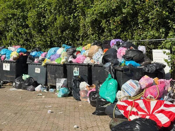 Rifiuti, raccolta in tilt: cassonetti pieni e cittadini furiosi. Giglietti: “Serve pazienza”